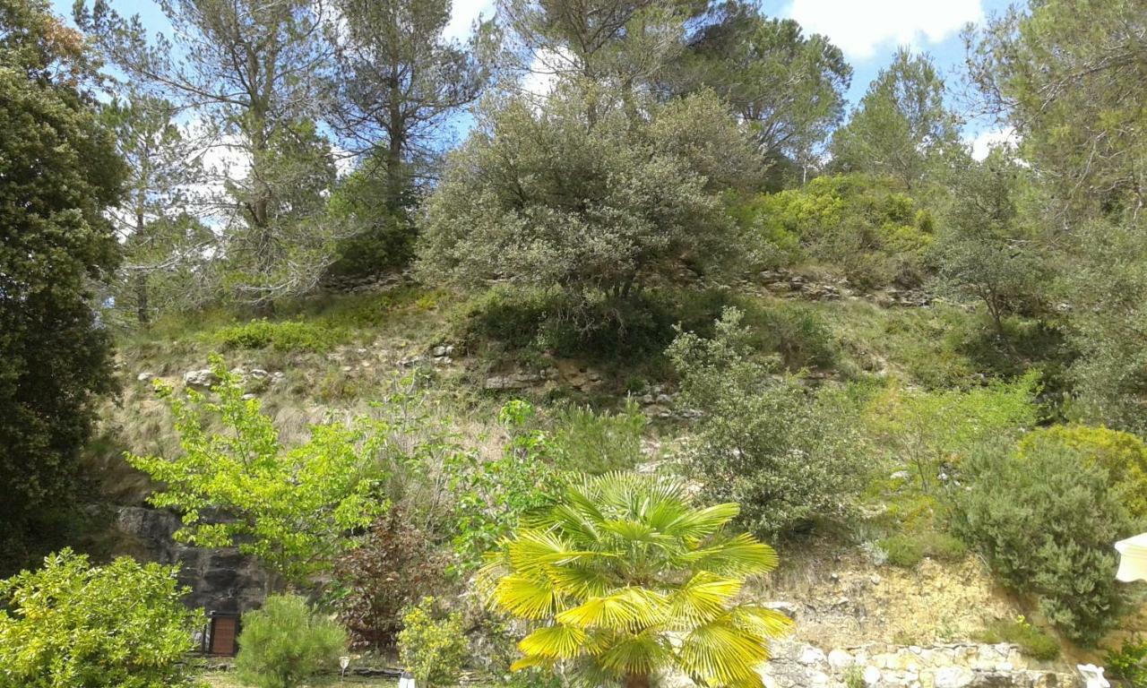 Gite Sud De France-Carcassonne Chez Lea Aragon Bagian luar foto